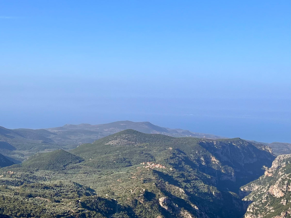 Village and olive groves in Mani with the sea beyond